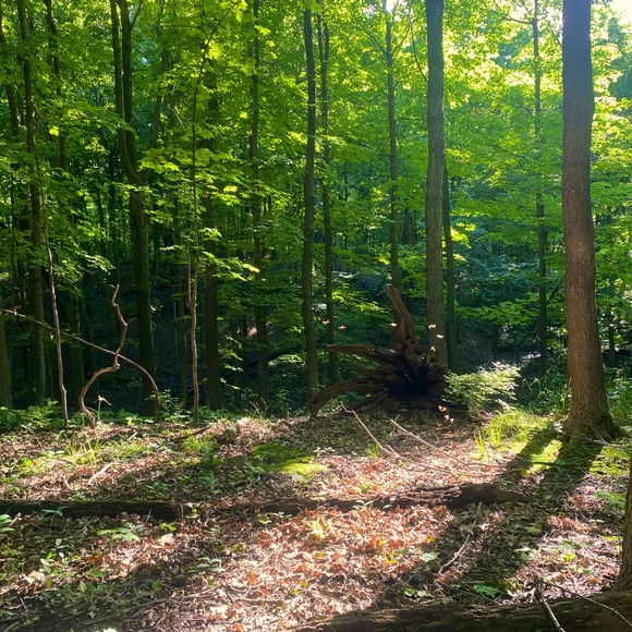 Meet your Posher, Valdes - Picture 1 of 1